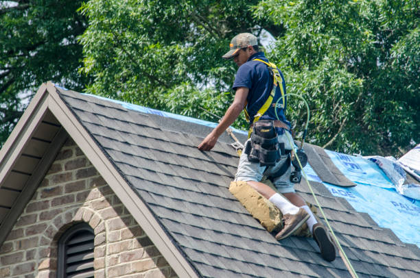 Best Roof Gutter Cleaning  in Springdale, PA